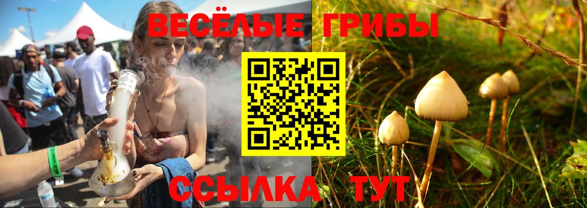 Псилоцибиновые грибы ЛСД  Псилоцибиновые грибы GOLDEN TEACHER  Вход с VPN  Северск 
